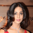 Mahi Gill Hindi Movie Actress