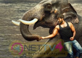 Raja Bheema 1st Look Poster 