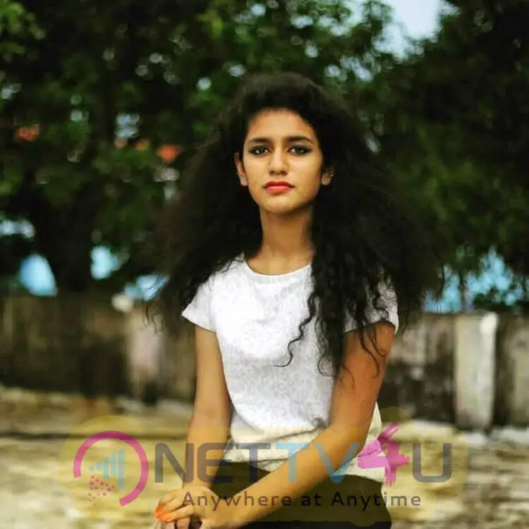  Priya Prakash Varrier New Pics Malayalam Gallery