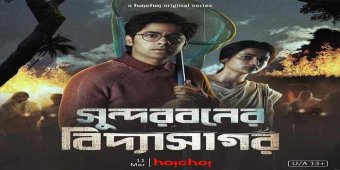 Sundarbaner Vidyasagar