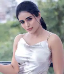 Preethi Mirajkar Kannada Movie Actress