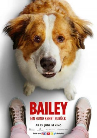 A Dogs Journey Movie Review English Movie Review A Dogs Journey Movie Review English Movie Review