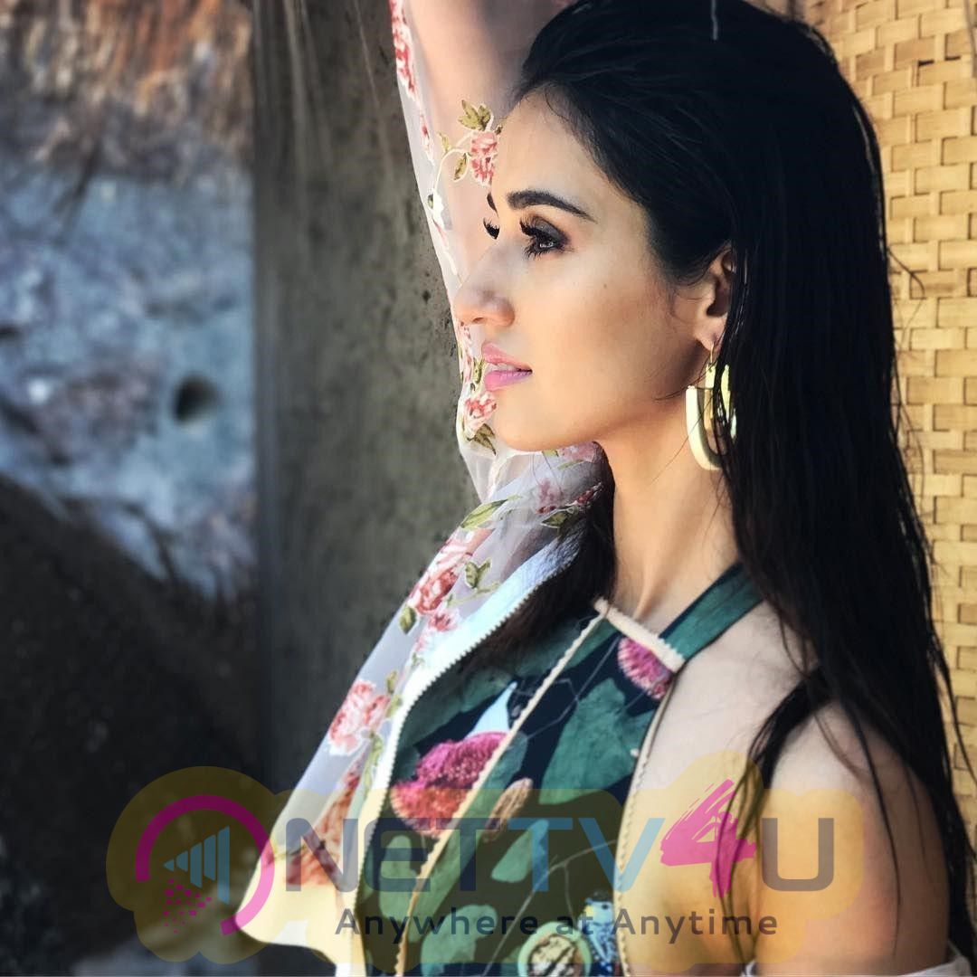 Actress Disha Patani Latest Hot And Sexy Pics Hindi Gallery