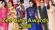 Zee Cine Awards 2018 Hindi awards on ZEE TV