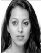 Sampada Harkara Hindi Assistant Director