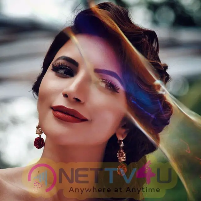 Actress Shama Sikander Latest Hot Photo Shoot Hindi Gallery
