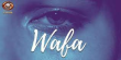 Wafa Hindi tv-shows on DD Kashir
