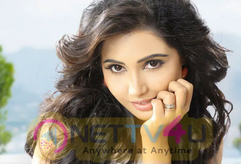 Mallu Actress Sandy Amy Hot Photos Telugu Gallery