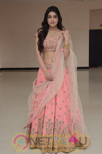  Actress Avantika Mishra Hot Charming Photos  Telugu Gallery