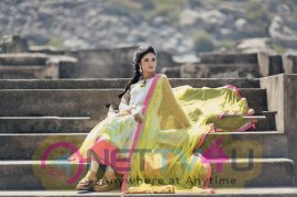 Actress Shira Gaarg Attractive Stills  Tamil Gallery