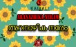 Aranazhika Neram Malayalam tv-serials on Asianet TV