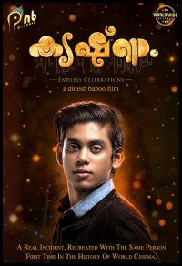 Krishnam Movie Review