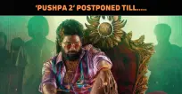 ‘Pushpa 2’ Postponed Indefinitely?