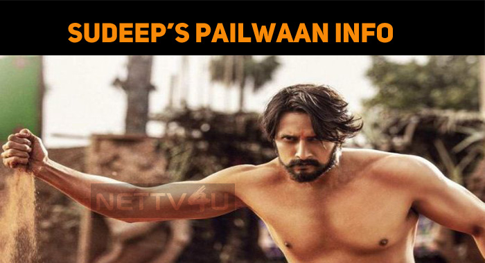 Why Sudeep Rejected Dubbing?