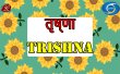 Trishna Hindi tv-shows on DOORDARSHAN