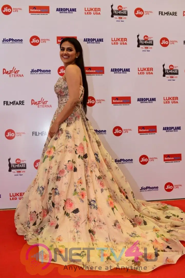65th Jio Filmfare Awards South 2018 Event Images  Telugu Gallery