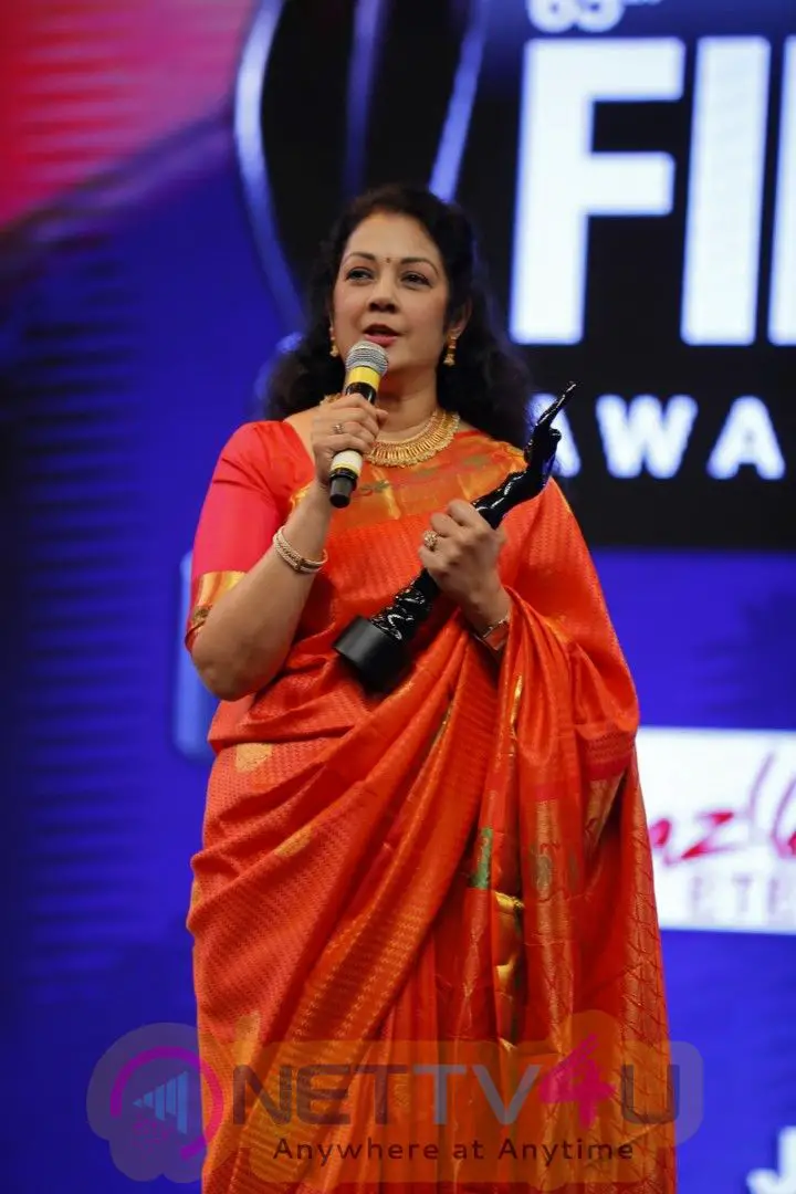 65th Jio Filmfare Awards South 2018 Event Images  Telugu Gallery