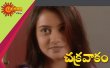 Chakravakam – Telugu Telugu tv-serials on Gemini TV