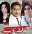 Dilfareb Urdu tv-serials on Geo TV