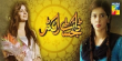 Digest Writer Urdu tv-serials on HUM TV