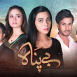 Bepanah Hindi tv-serials on HUM TV