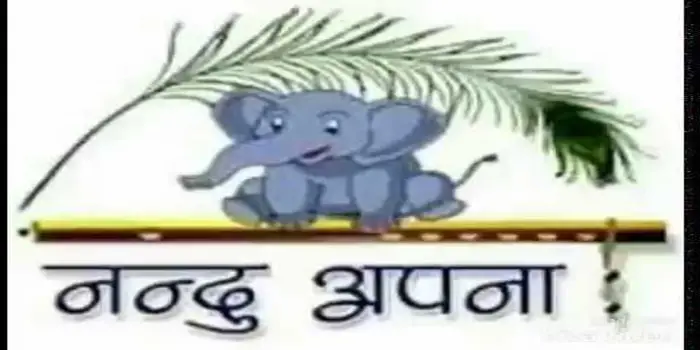 Hindi Cartoon Nandu Apna | NETTV4U