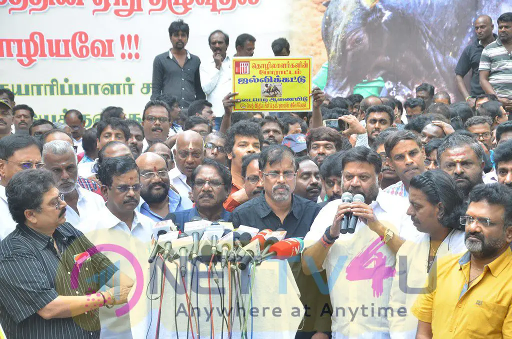 Film Industry Protest Against The Ban Of Jallikattu Tamil Gallery