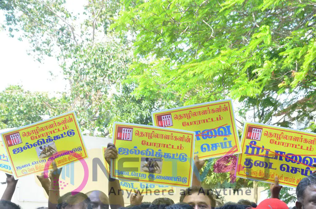 Film Industry Protest Against The Ban Of Jallikattu Tamil Gallery