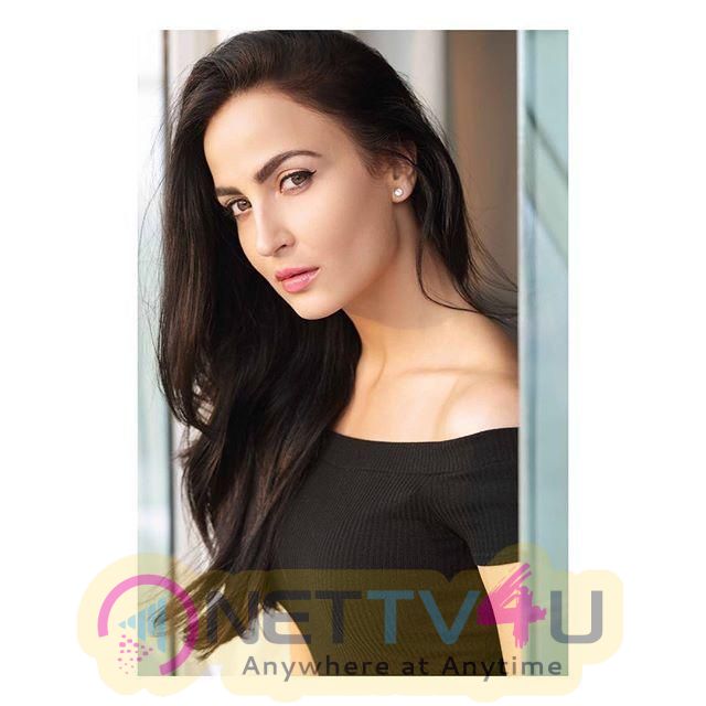 Actress Elli AvrRam Cute Photos Hindi Gallery