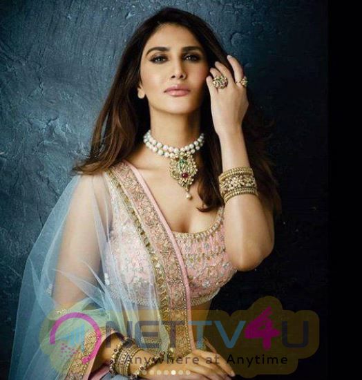 Hindi Actress Vaani Kapoor Hot Latest Photos Hindi Gallery