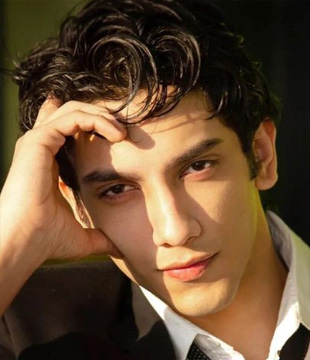 Hindi Actor Vedang Raina