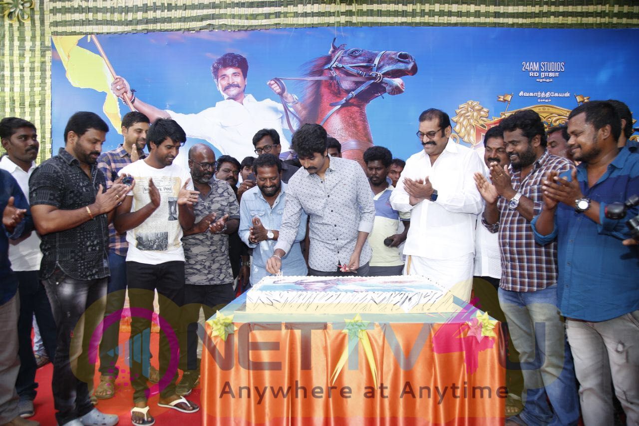 Actor Siva Karthikeyan Birthday Celebrations On The Sets Of Seemaraja Pics Tamil Gallery