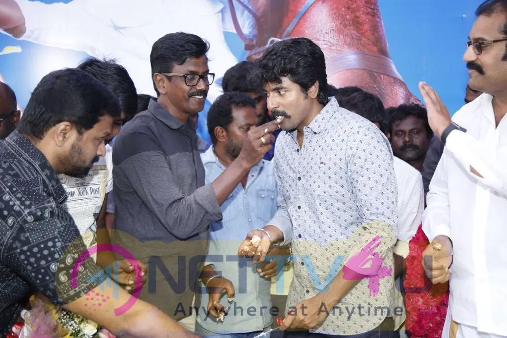 Actor Siva Karthikeyan Birthday Celebrations On The Sets Of Seemaraja Pics Tamil Gallery