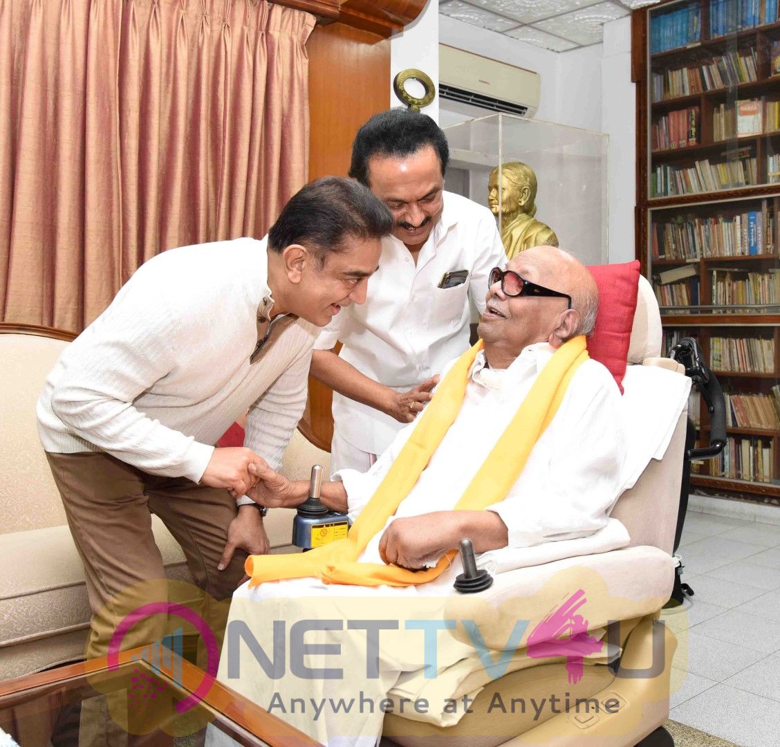 Mr Kamal Haasan's Meeting With DMK Chief M Karunanidhi And DMK Working President MK Stalin Pics Tamil Gallery