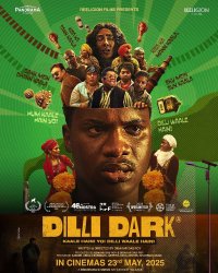 Dilli Dark Movie Review