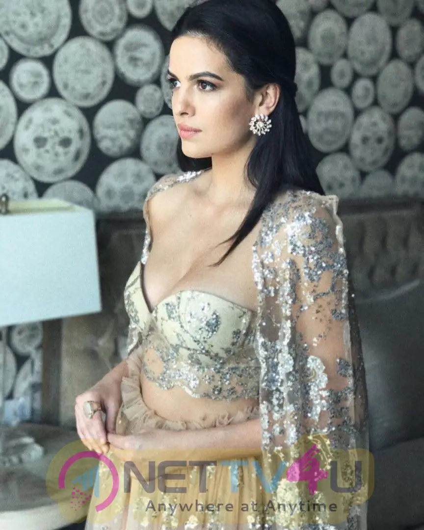 Actress Natasa Stankovic Dazzling Stills  Hindi Gallery