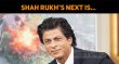 Shah Rukh’s Next Is… Hindi News