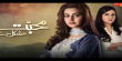 Mohabbat Mushkil Hai Urdu tv-serials on HUM TV