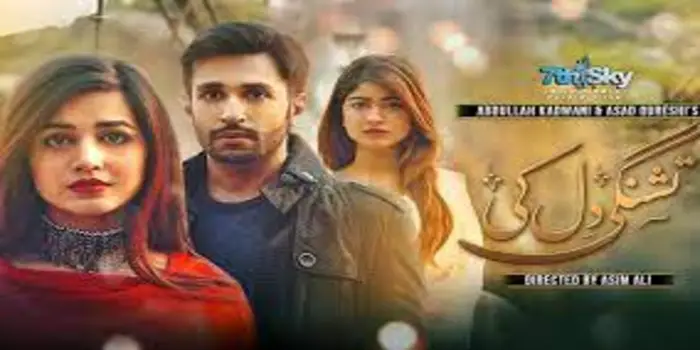 Urdu Tv Serial Tishnagi Dil Ki - Full Cast and Crew