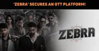 ‘Zebra’ Gets An OTT Platform