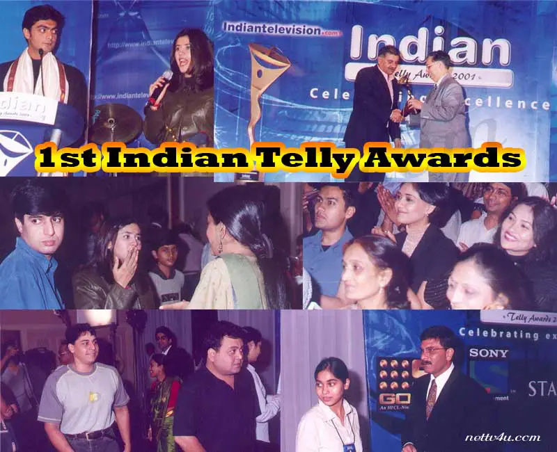 1st-Indian-Telly-Awards.jpg