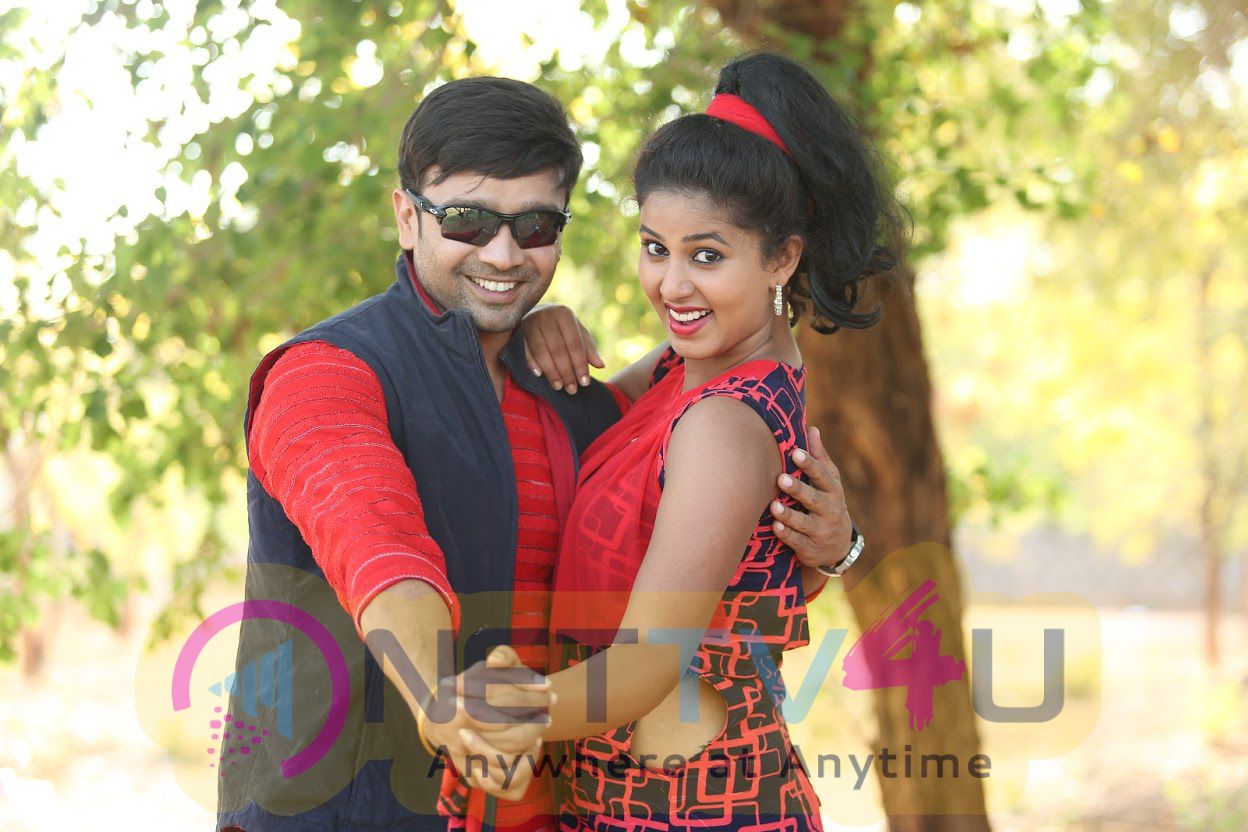 New Movie Lavanya With Loveboys Grand Photoshoot  Telugu Gallery