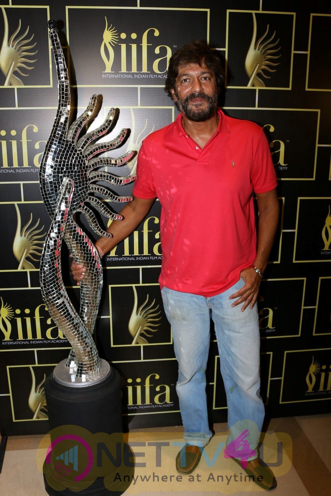 IIFA Voting Weekend With Shahid Kapoor & Other Celebs  Hindi Gallery
