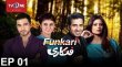 Funkari Urdu tv-serials on TV One