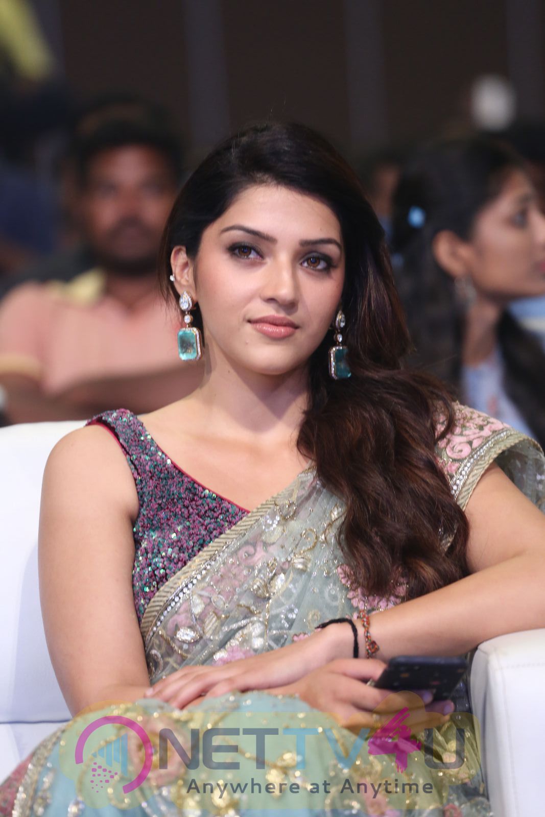 Raja The Great Pre Release Event Photos Telugu Gallery