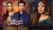 Tere Bina Main Nahi ( Urdu tv-serials on ARY DIGITAL