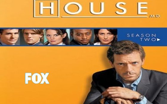 English Tv Show House Season 2 Synopsis Aired On Fox Channel