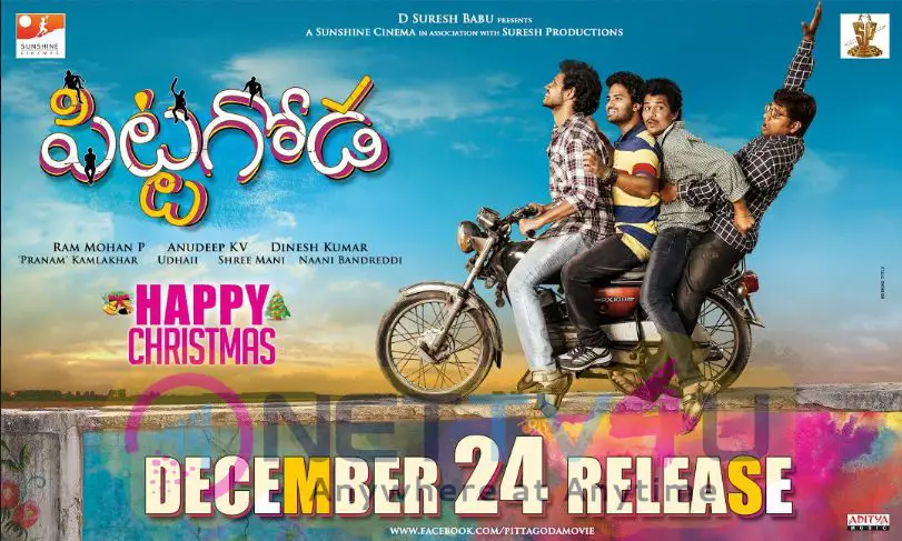 Pittagoda Movie Release On 24 December Poster Telugu Gallery