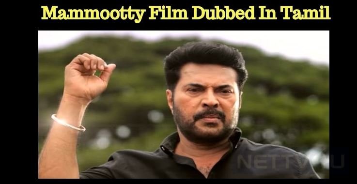 Mammootty Movie To Get The Screens In Tamilnadu! | NETTV4U