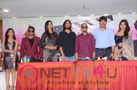 Pellante Movie Opening Images Telugu Gallery